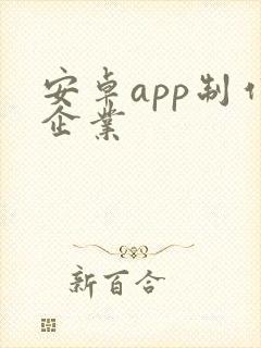 安卓app制作企业