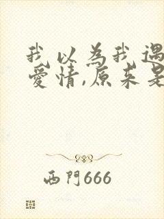 我以为我遇到了爱情,原来是