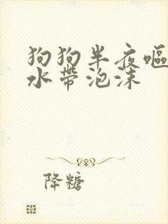 狗狗半夜呕吐黄水带泡沫