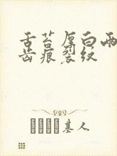 舌苔厚白两边有齿痕裂纹