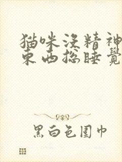 猫咪没精神不吃东西总睡觉还呕吐