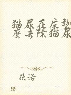 猫尿在床垫上怎么去除猫尿味