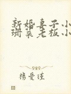 新婚妻子小说芷珊菜老板小说全文阅读