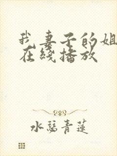 我妻子的姐姐2在线播放