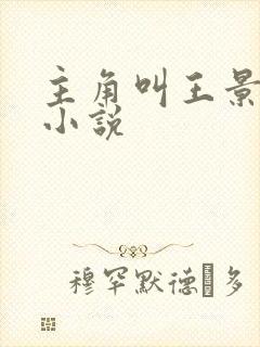 主角叫王景硕的小说