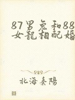 87男兔和88女龙相配婚姻如何