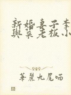 新婚妻子李芷珊与菜老板小说全文封面