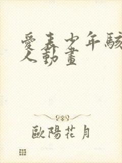 爱表少年骇客同人动画