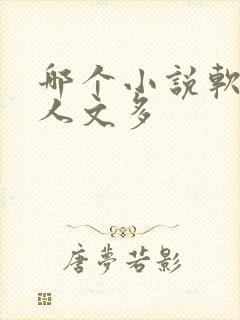 哪个小说软件同人文多封面