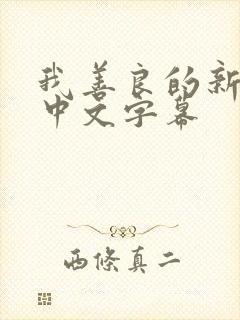 我善良的新妈妈中文字幕封面