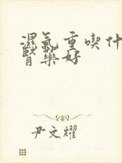 湿气重吃什么补肾药好