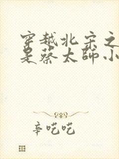 穿越北宋之我爹是蔡太师小说