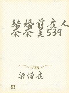 结婚前夜人妻岬奈奈美539封面