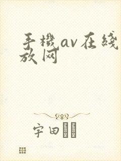 手机av在线播放网封面