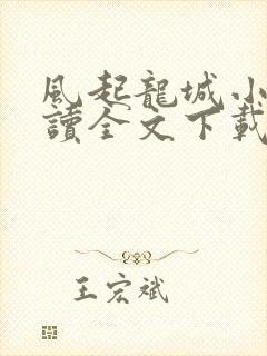 风起龙城小说阅读全文下载