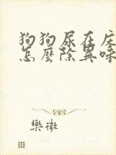 狗狗尿在床垫上怎么除异味