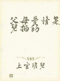 父母爱情是在哪儿拍的