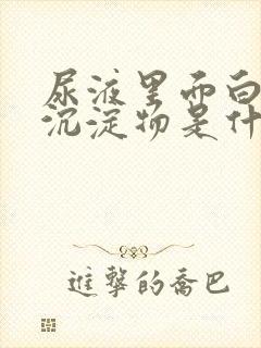 尿液里面白色的沉淀物是什么