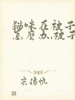 猫咪在被子上尿怎么办,被子一股尿味