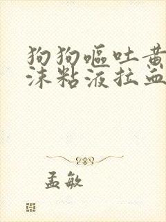 狗狗呕吐黄水泡沫粘液拉血封面