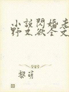 小说闪婚老公又野又欲全文