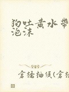 狗吐黄水带白色泡沫封面