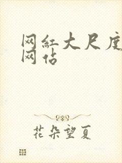 网红大尺度视频网站