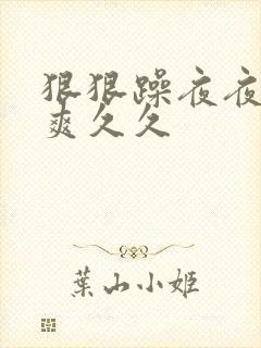 狠狠躁夜夜躁人爽久久