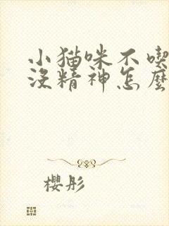 小猫咪不吃东西没精神怎么办封面