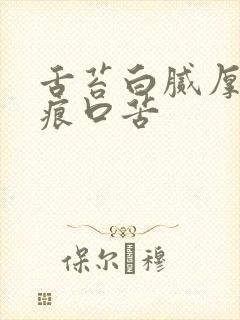 舌苔白腻厚有齿痕口苦