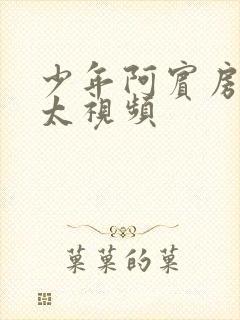 少年阿宾房东太太视频