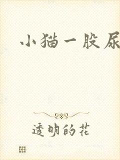 小猫一股尿骚味