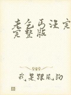 老乞丐没完没了完整版