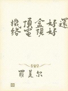 机顶盒好还是网络电视好