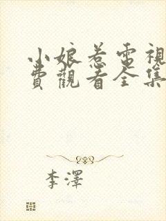 小娘惹电视剧免费观看全集