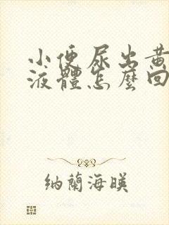 小便尿出黄粘稠液体怎么回事