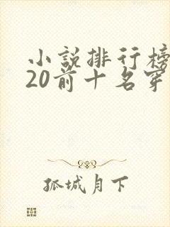 小说排行榜2020前十名穿越完结封面
