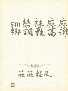 sm丝袜麻麻捆绑调教高潮小说封面