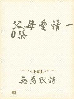 父母爱情一共60集封面