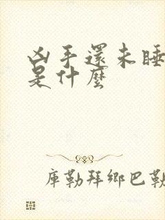 凶手还未睡结局是什么