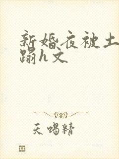 新婚夜被土匪糟蹋h文