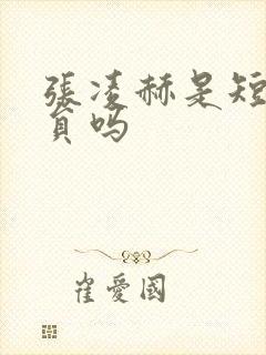 张凌赫是短剧演员吗