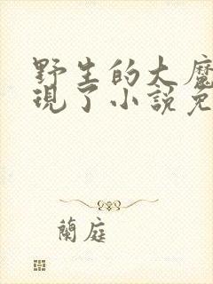 野生的大魔王出现了小说免费阅读封面