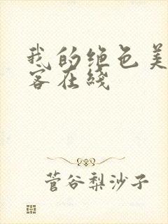 我的绝色美女房客在线