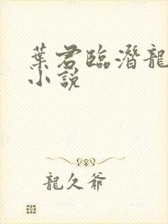 叶君临潜龙出渊小说