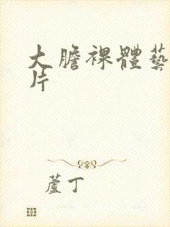 大胆裸体艺术照片封面