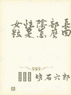 女性阴部长白颗粒是怎么回事