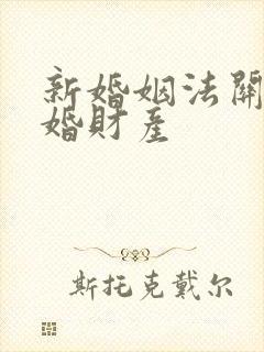 新婚姻法关于复婚财产