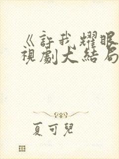 《许我耀眼》电视剧大结局