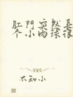 肛门突然长了一个小肉球很疼封面